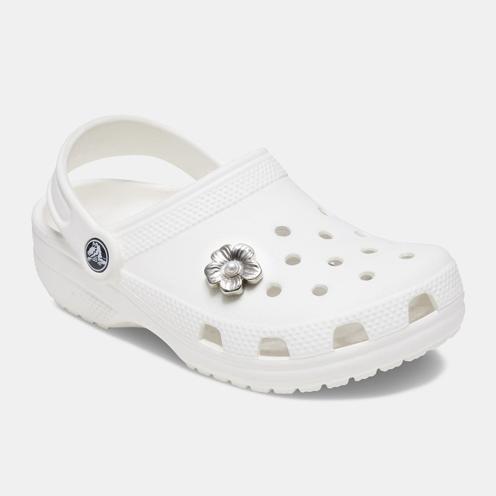 Silver Mnchrm Daisy 2