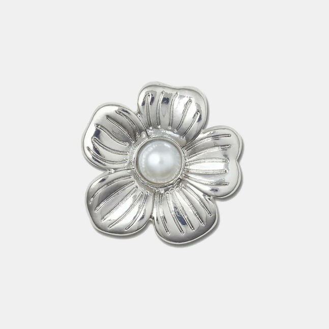 Silver Mnchrm Daisy 2