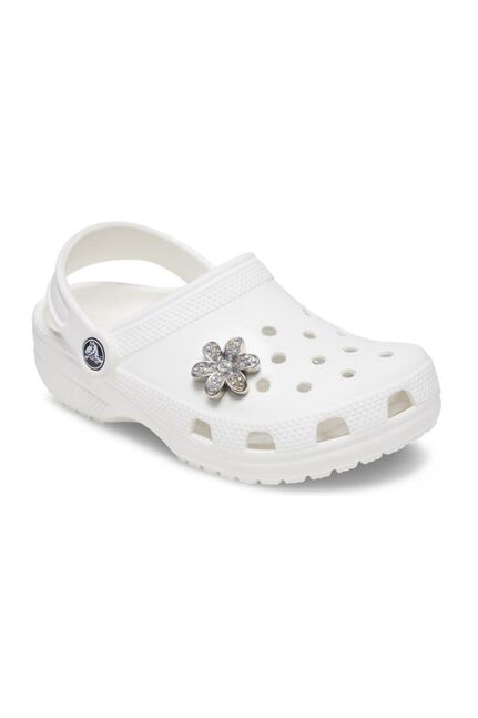 Silver Mnchrm Daisy 1