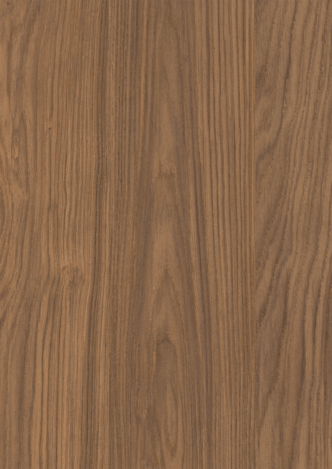 H1386 G3 Brown Casella Oak
