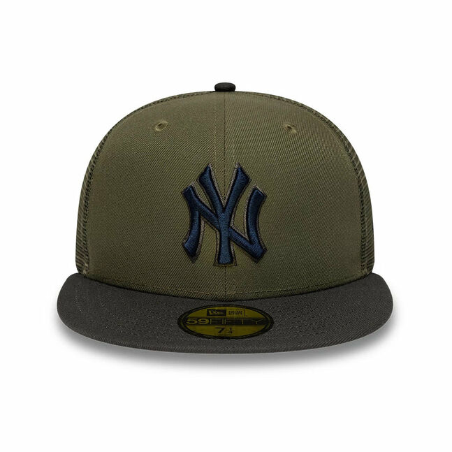 5950TR NEYYAN HYDRANGEA OLI INTL
