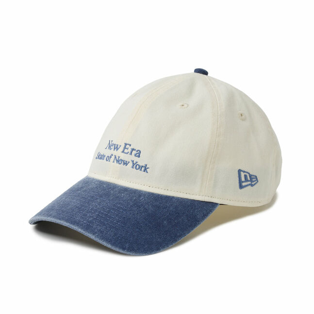 920 STATE OF NY CRM BLU INTL
