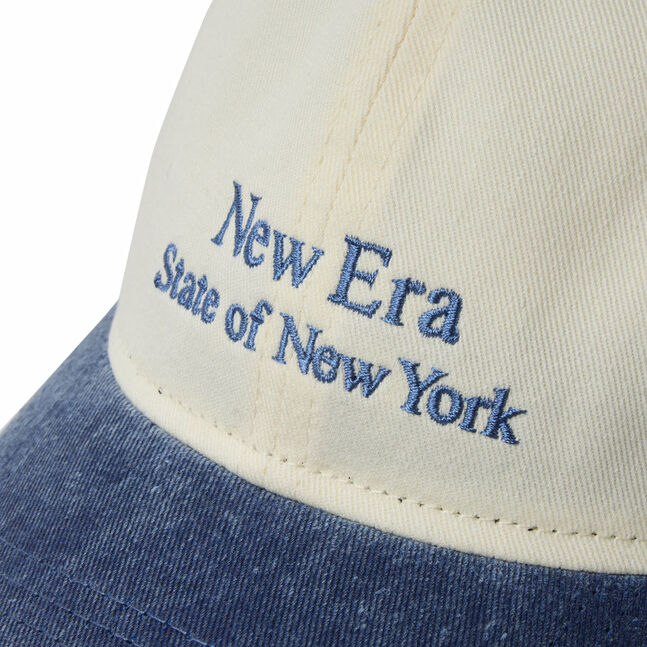 920 STATE OF NY CRM BLU INTL