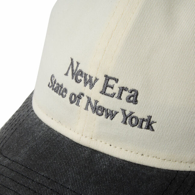 920 STATE OF NY CRM BLK INTL