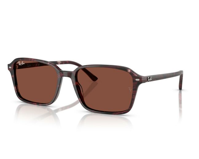 Ray-Ban, ACETATE UNISEX SUNGLASS