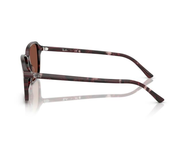 Ray-Ban, ACETATE UNISEX SUNGLASS