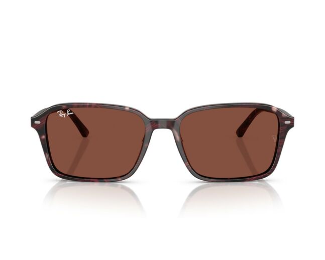 Ray-Ban, ACETATE UNISEX SUNGLASS