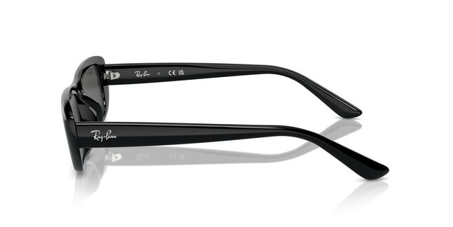Ray-Ban, INJECTED UNISEX SUNGLASS