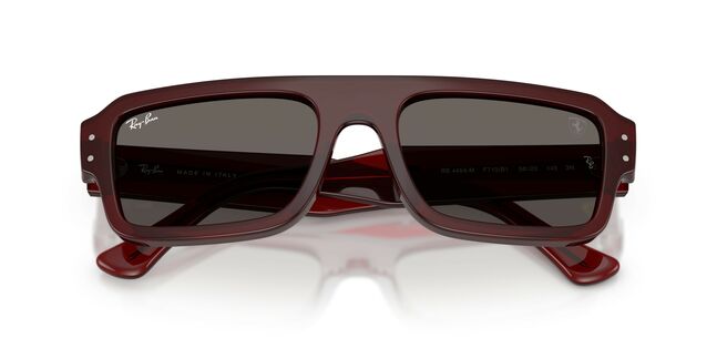 Ray-Ban, PROPIONATE UNISEX SUNGLASS