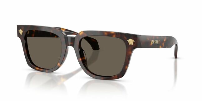 Versace, ACETATE MAN SUNGLASS
