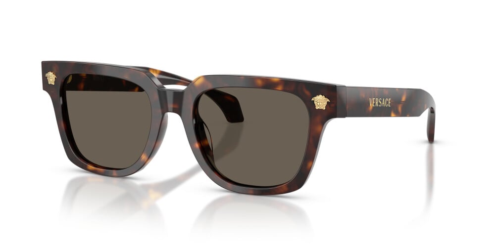 Versace, ACETATE MAN SUNGLASS