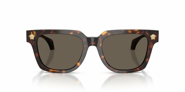 Versace, ACETATE MAN SUNGLASS
