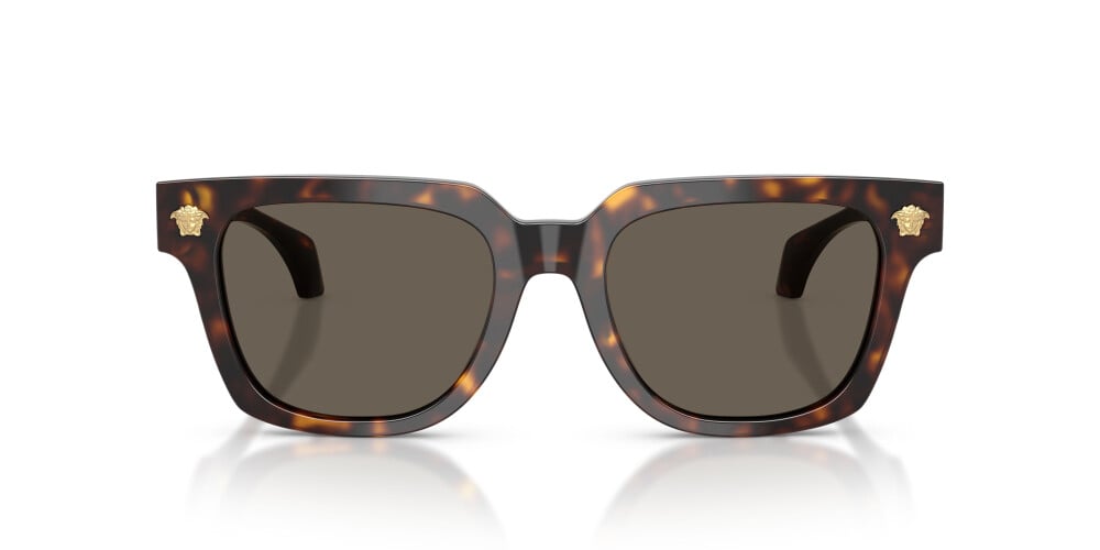 Versace, ACETATE MAN SUNGLASS
