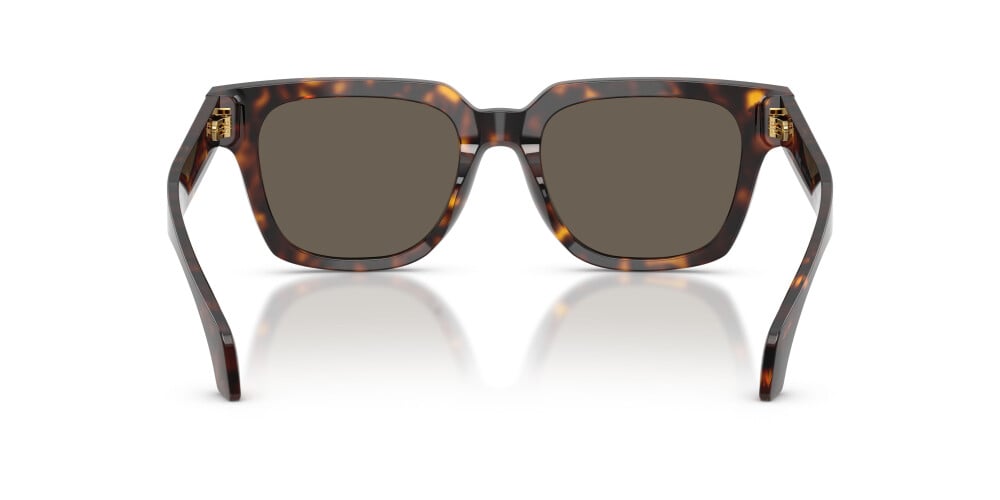 Versace, ACETATE MAN SUNGLASS