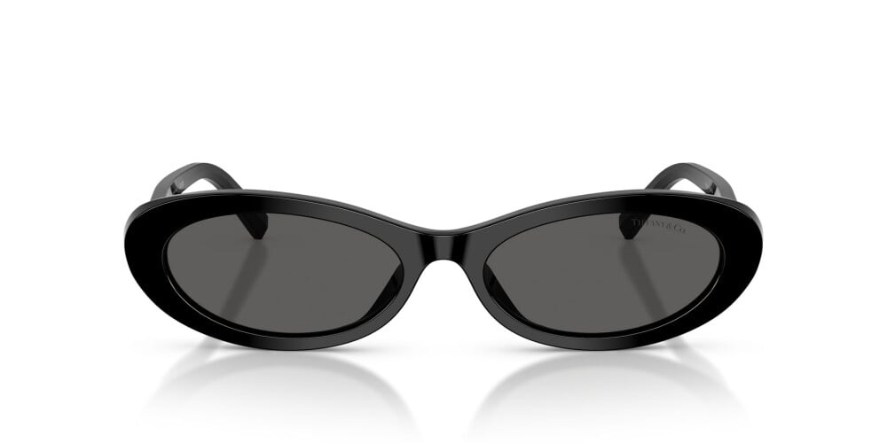 Tom Ford, ACETATE WOMAN SUNGLASS