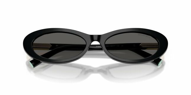 Tom Ford, ACETATE WOMAN SUNGLASS