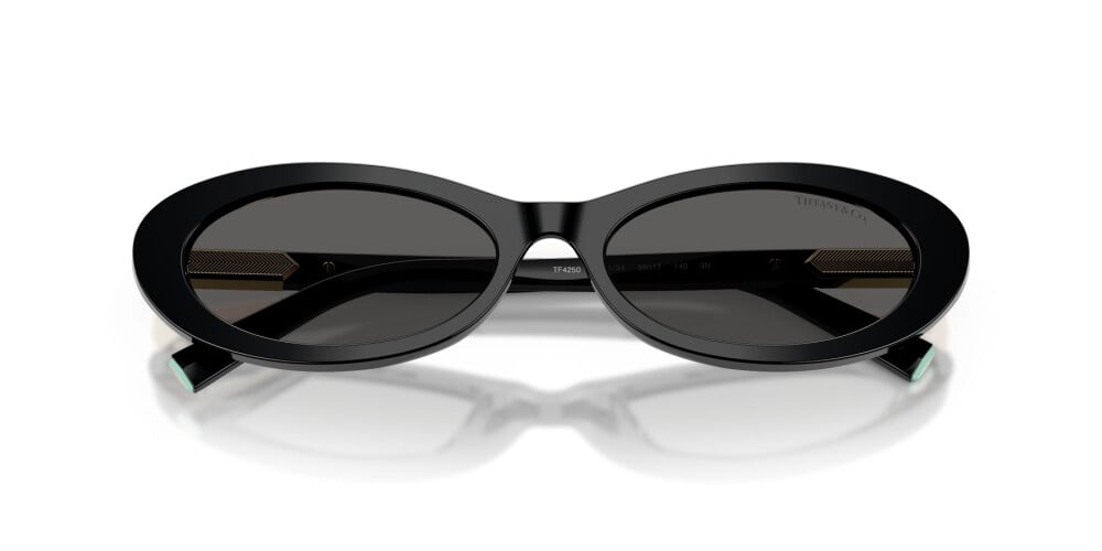 Tom Ford, ACETATE WOMAN SUNGLASS