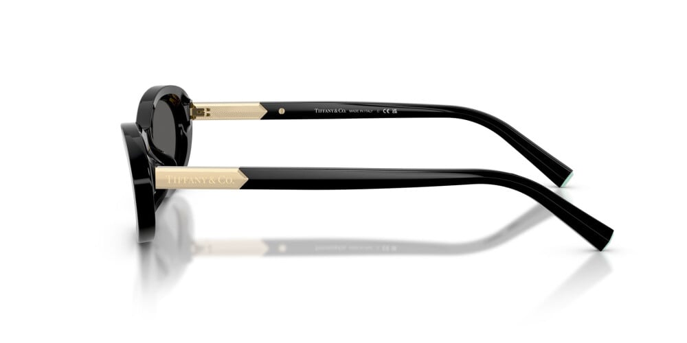 Tom Ford, ACETATE WOMAN SUNGLASS
