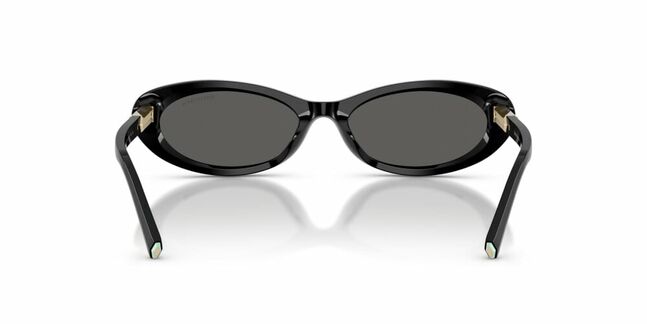 Tom Ford, ACETATE WOMAN SUNGLASS