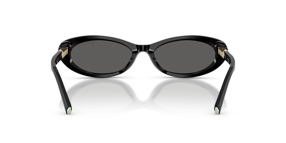 Tom Ford, ACETATE WOMAN SUNGLASS