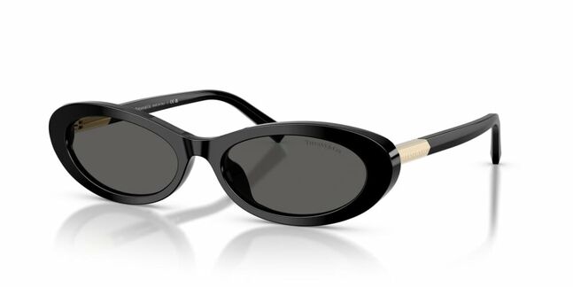 Tom Ford, ACETATE WOMAN SUNGLASS