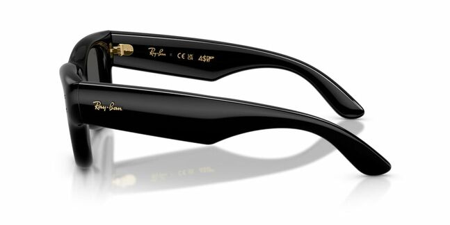 Ray-Ban, INJECTED UNISEX SUNGLASS