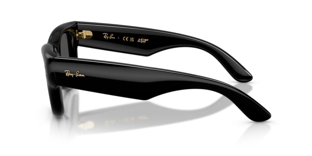 Ray-Ban, INJECTED UNISEX SUNGLASS