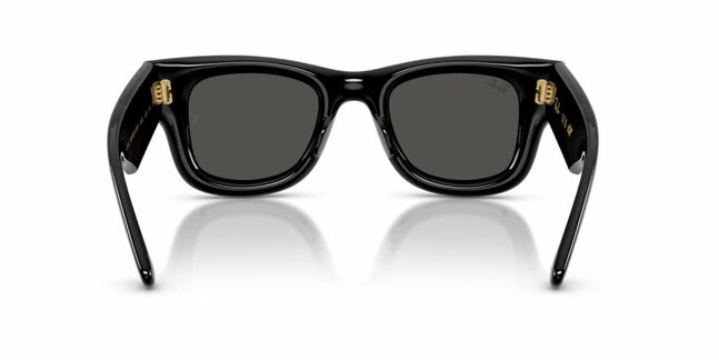 Ray-Ban, INJECTED UNISEX SUNGLASS