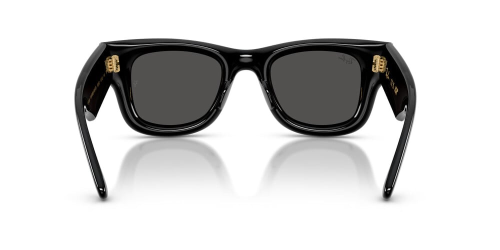 Ray-Ban, INJECTED UNISEX SUNGLASS