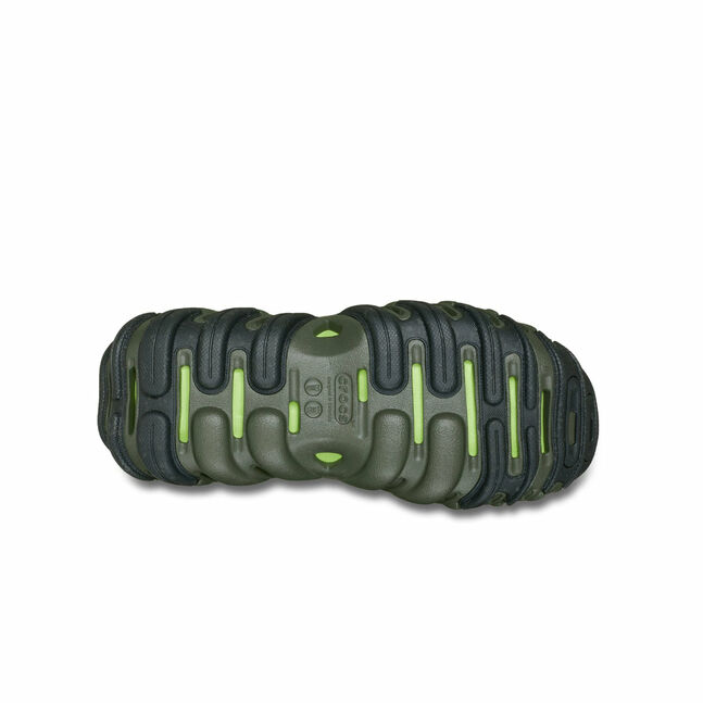 Echo Element DOl/LmB