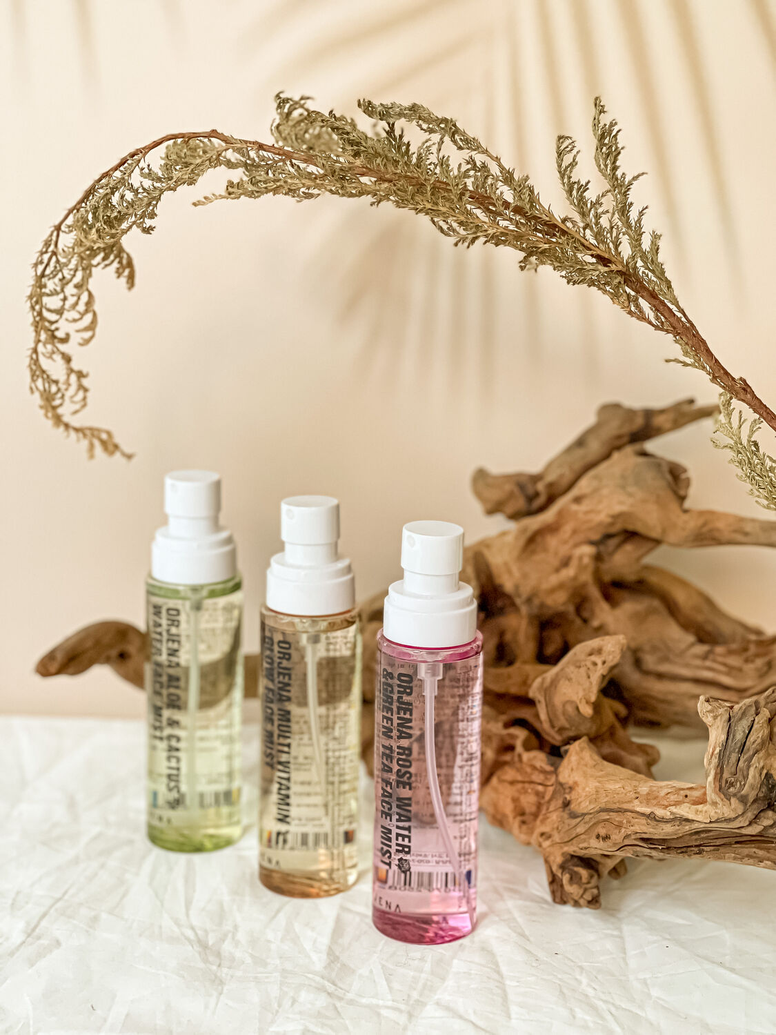 ORJENA ALOE&CACTUS WATER FACE MIST