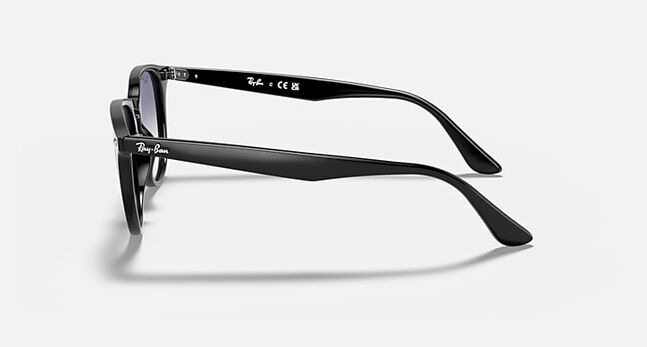 Ray-Ban, PROPIONATE UNISEX SUNGLASS