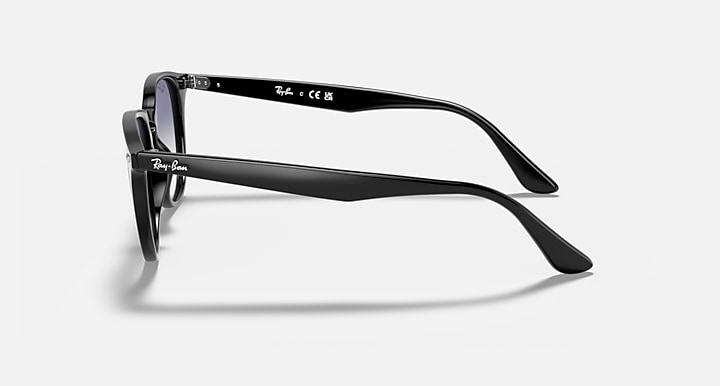 Ray-Ban, PROPIONATE UNISEX SUNGLASS
