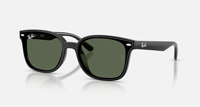 Ray-Ban, INJECTED UNISEX SUNGLASS