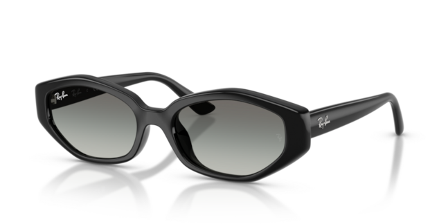 Ray-Ban, INJECTED UNISEX SUNGLASS