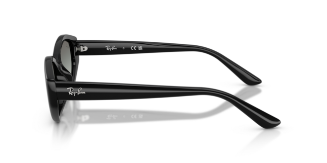 Ray-Ban, INJECTED UNISEX SUNGLASS