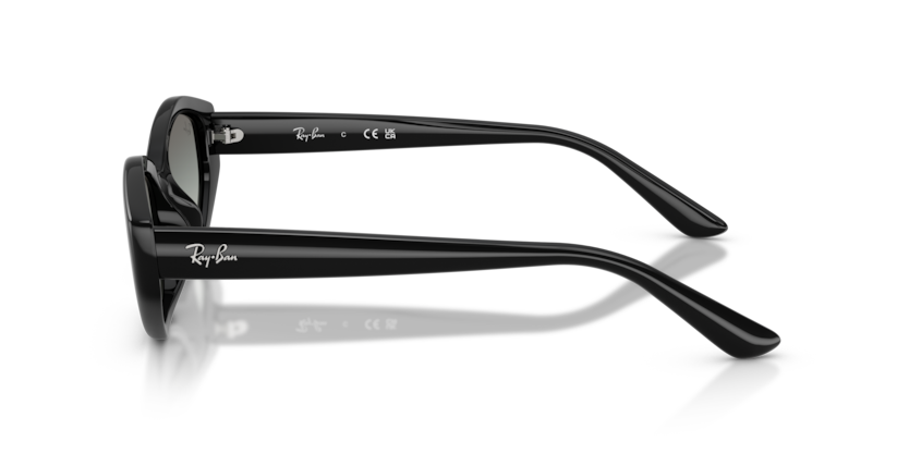 Ray-Ban, INJECTED UNISEX SUNGLASS