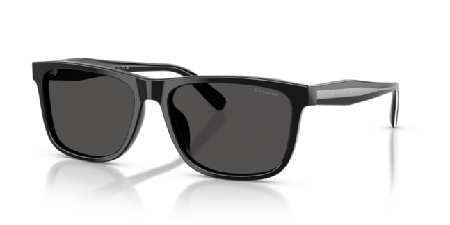 Coach, ACETATE MAN SUNGLASS