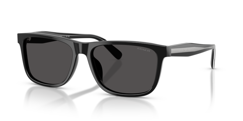 Coach, ACETATE MAN SUNGLASS