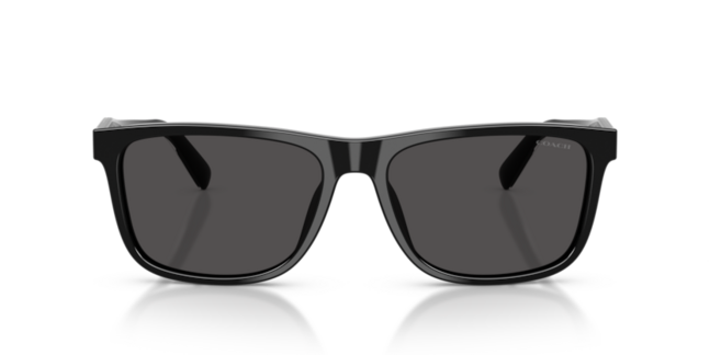 Coach, ACETATE MAN SUNGLASS