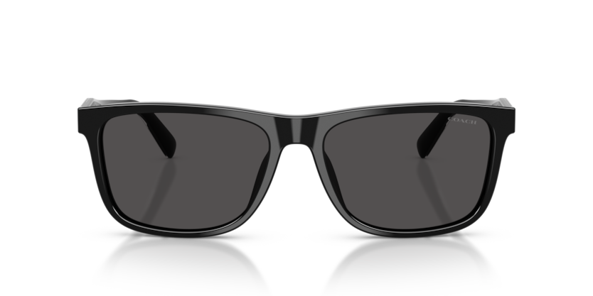 Coach, ACETATE MAN SUNGLASS