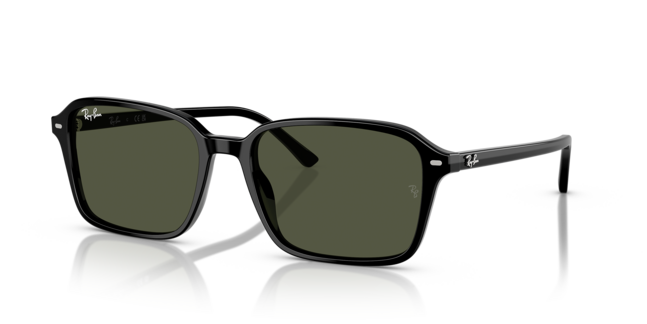 Ray-Ban, ACETATE UNISEX SUNGLASS