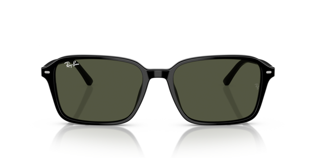 Ray-Ban, ACETATE UNISEX SUNGLASS