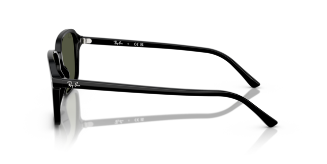 Ray-Ban, ACETATE UNISEX SUNGLASS
