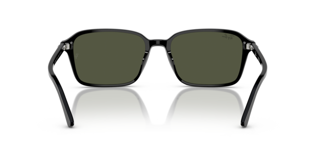Ray-Ban, ACETATE UNISEX SUNGLASS