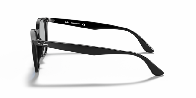 Ray-Ban, PROPIONATE UNISEX SUNGLASS