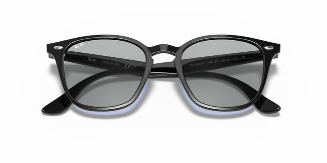 Ray-Ban, PROPIONATE UNISEX SUNGLASS