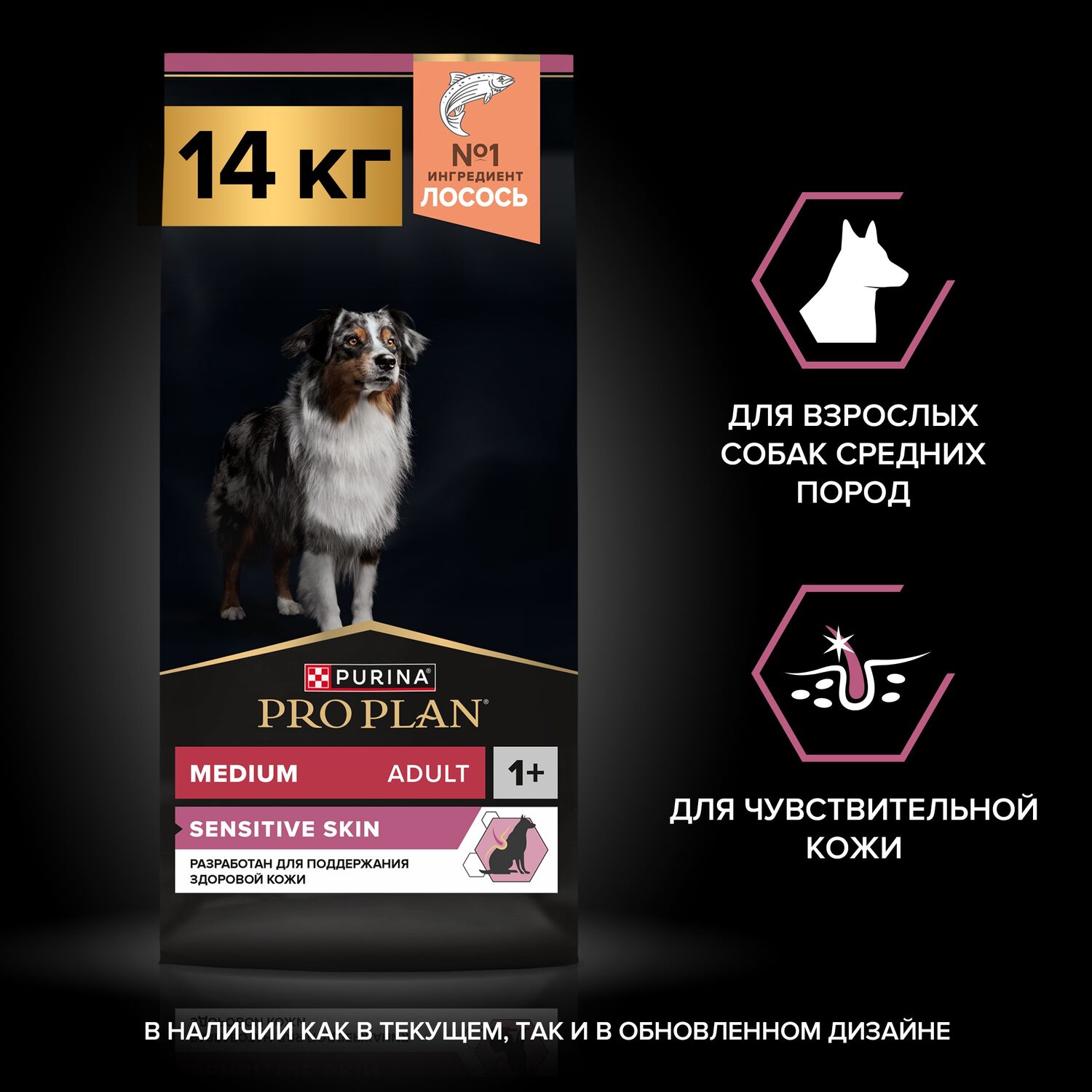 PRO PLAN эмзэг арьстай, дундаж биетэй үүлдрийн нохойд зориулсан хуурай хоол, хулд загасны махтай, 14кг 