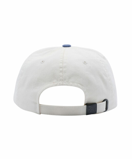 EMBROIDERED GRAPHIC CURVED CAP