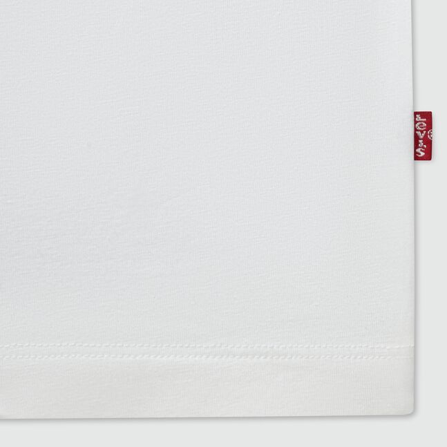 LEVIS MEN V-NECK 2P